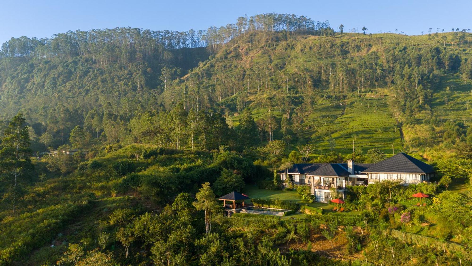 Camellia Hills Hotel Hatton Bagian luar foto