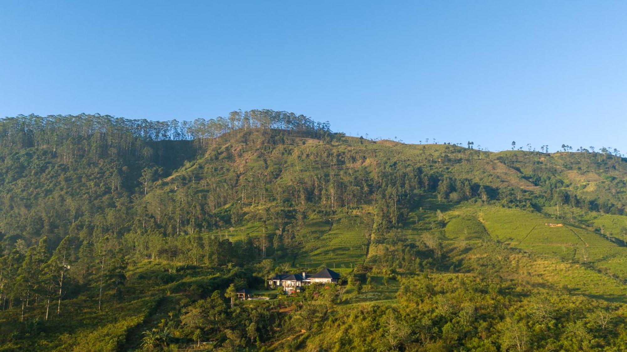 Camellia Hills Hotel Hatton Bagian luar foto