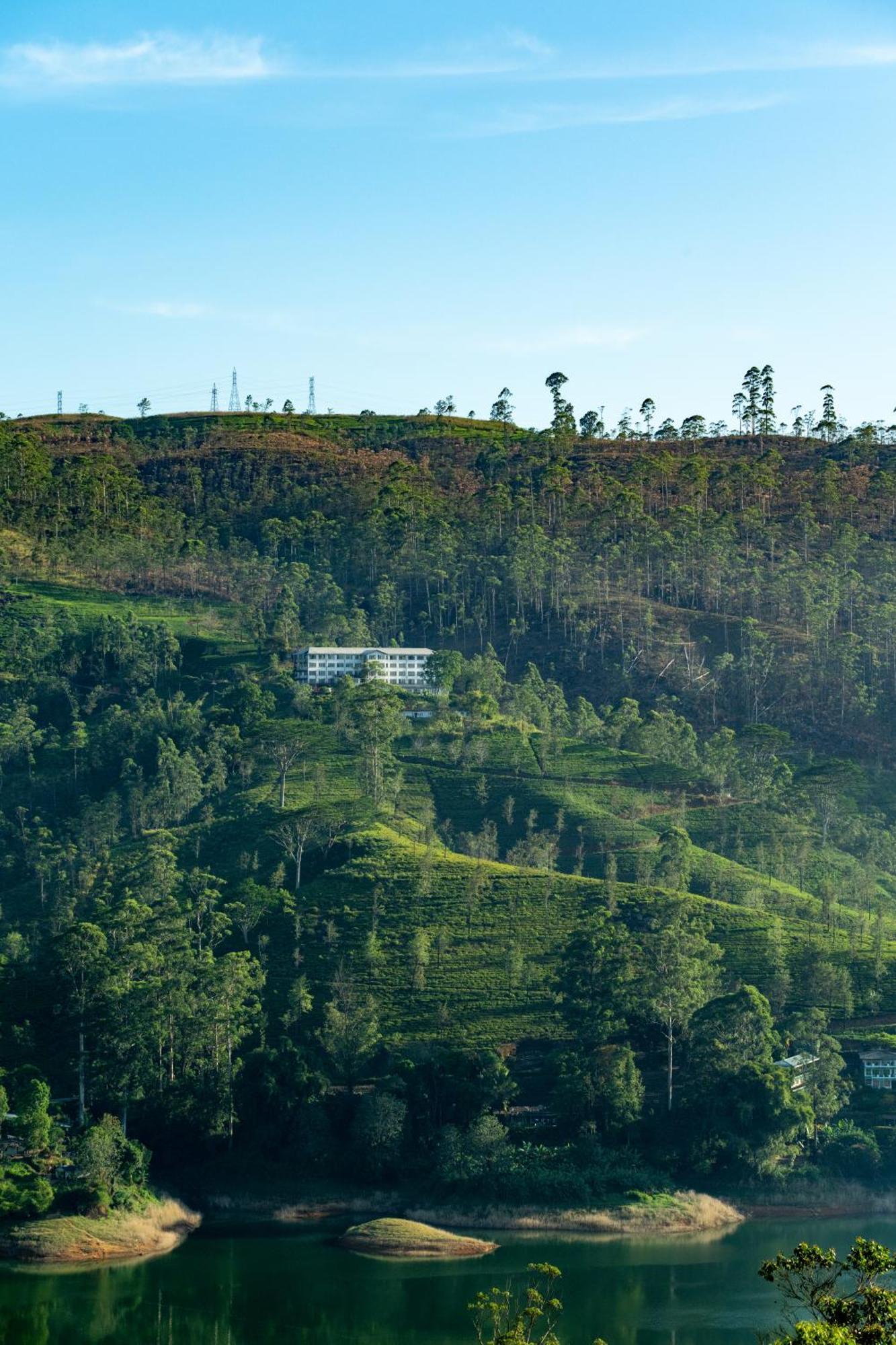 Camellia Hills Hotel Hatton Bagian luar foto