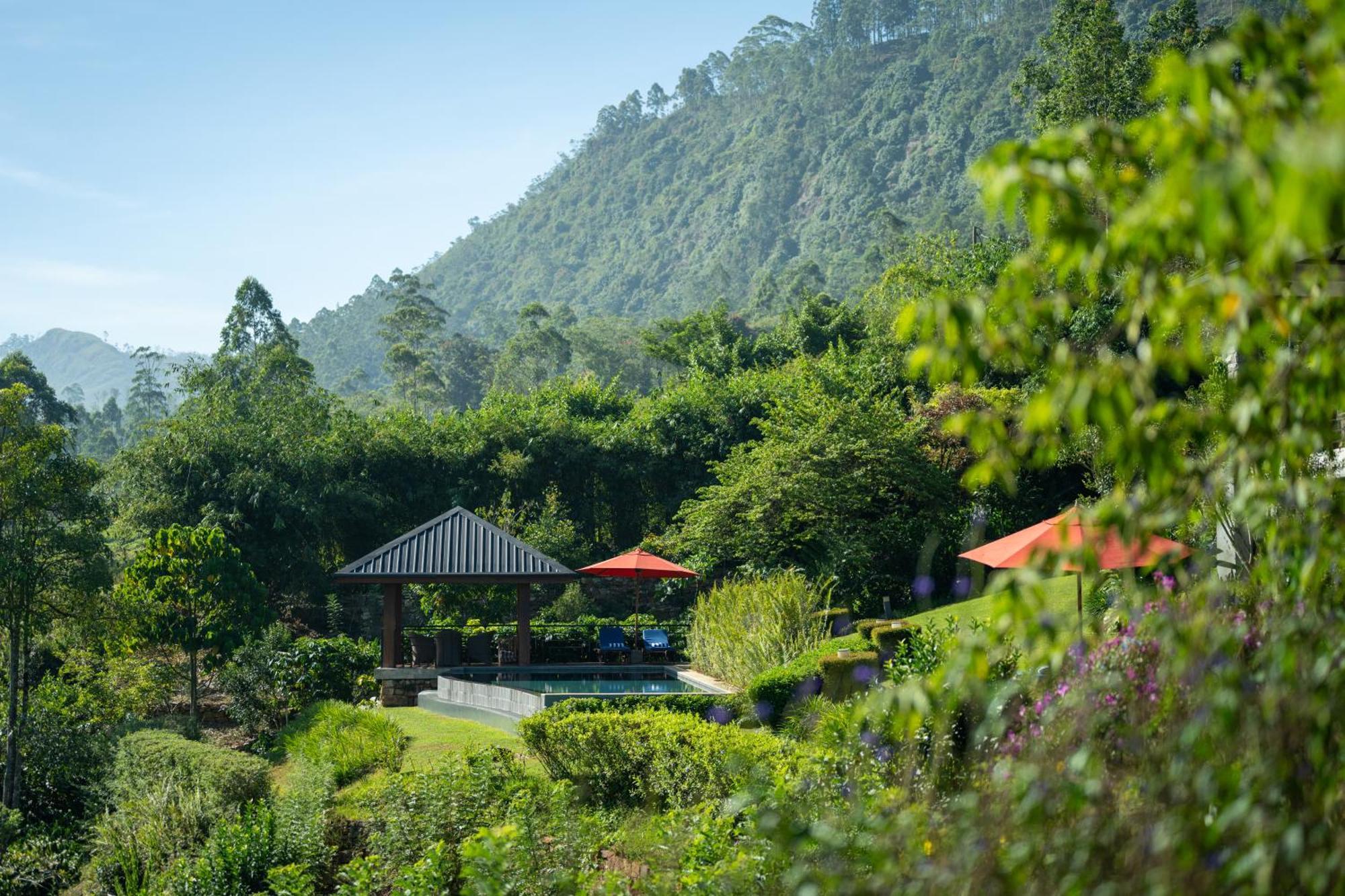 Camellia Hills Hotel Hatton Bagian luar foto