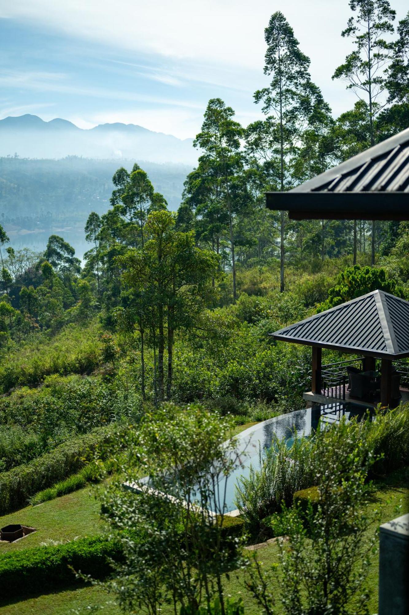 Camellia Hills Hotel Hatton Bagian luar foto